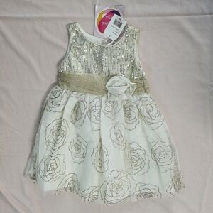 Youngland Girls Toddler 4T Sparkly Beige Golden Roses Dress NWT